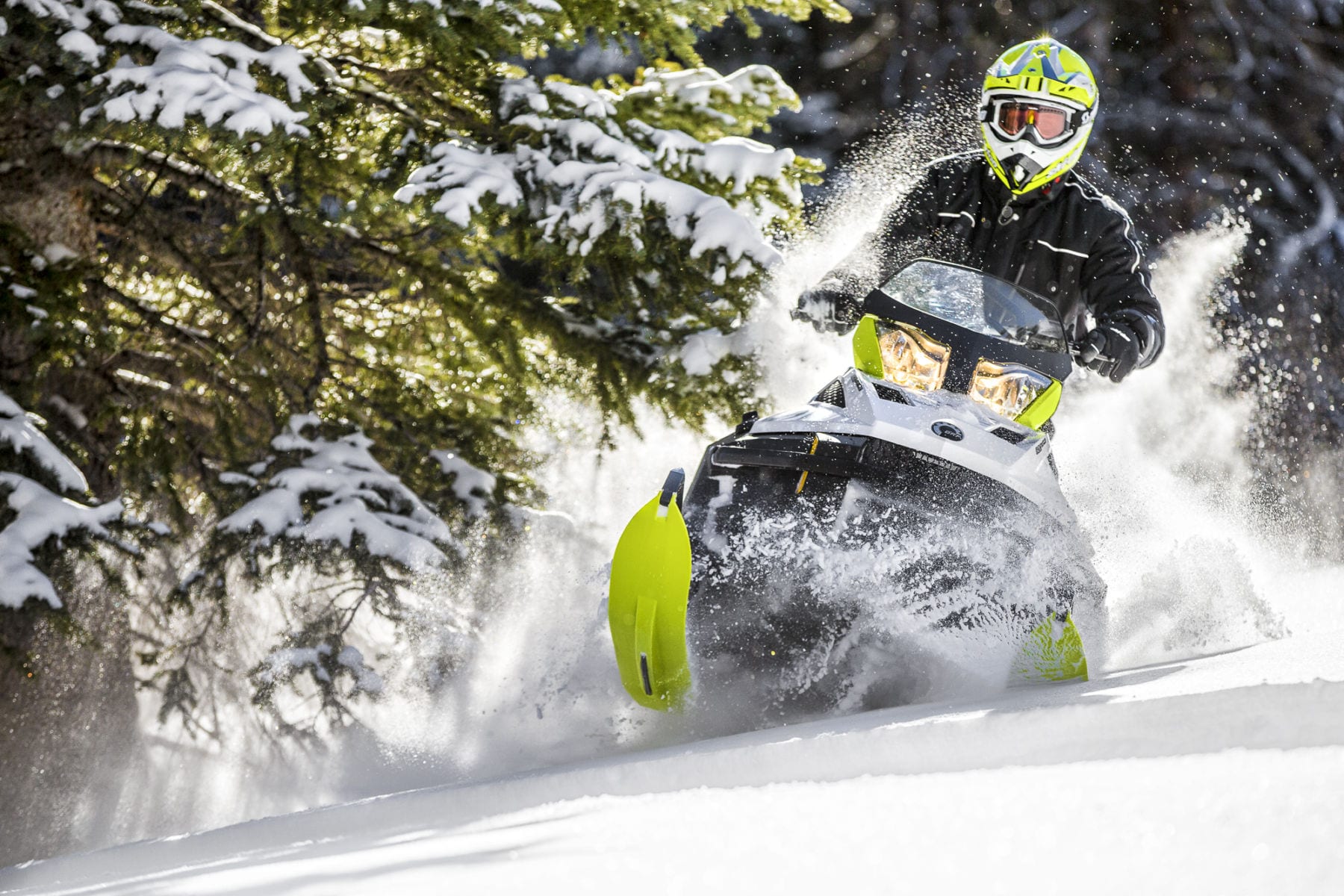 2017 Ski-Doo Tundra