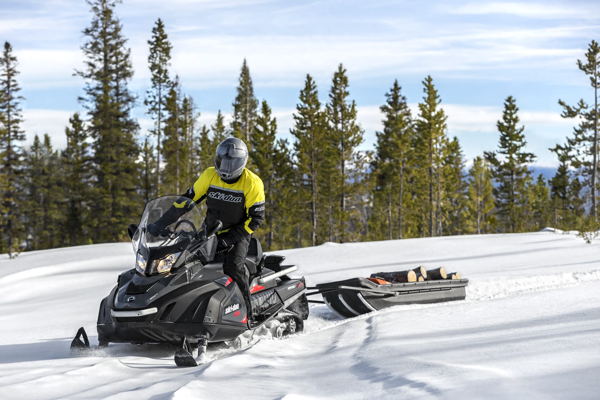 2018 Ski-Doo Skandic SWT