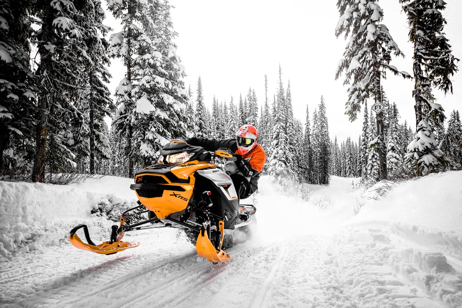 2019 Ski-Doo Renegade