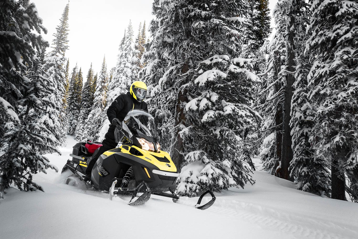 Ski-Doo Expedition 2019