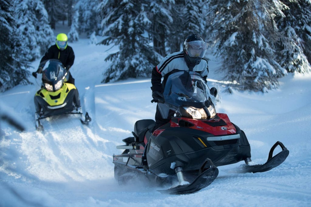 2019 Ski-Doo Skandic