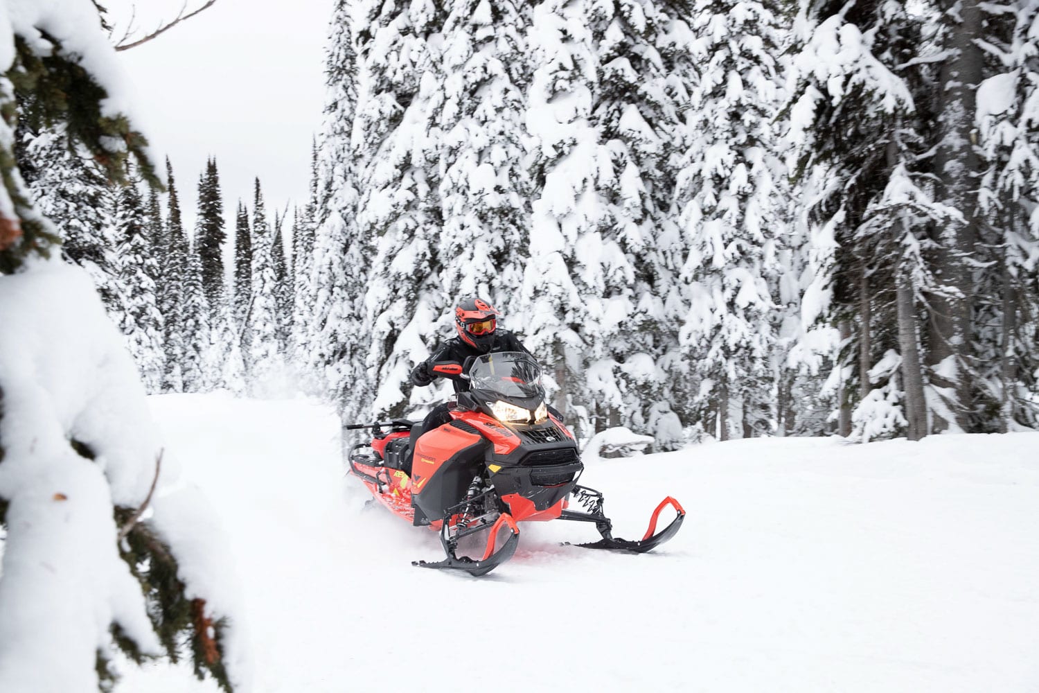 2020 Ski-Doo Expedition