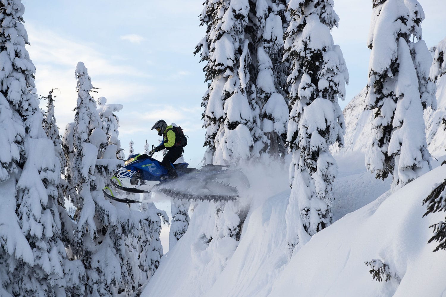 2020 Ski-Doo Freeride