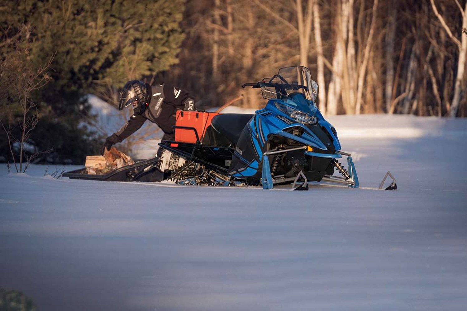 2022 Yamaha Transporter 800