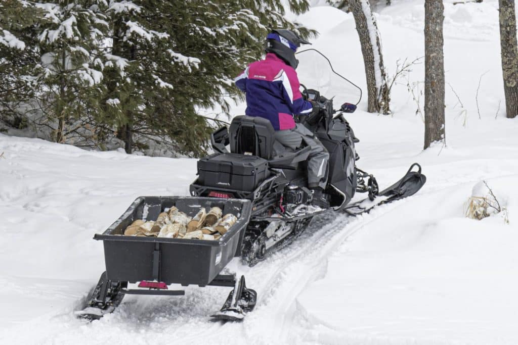 Utility snowmobiles 2025