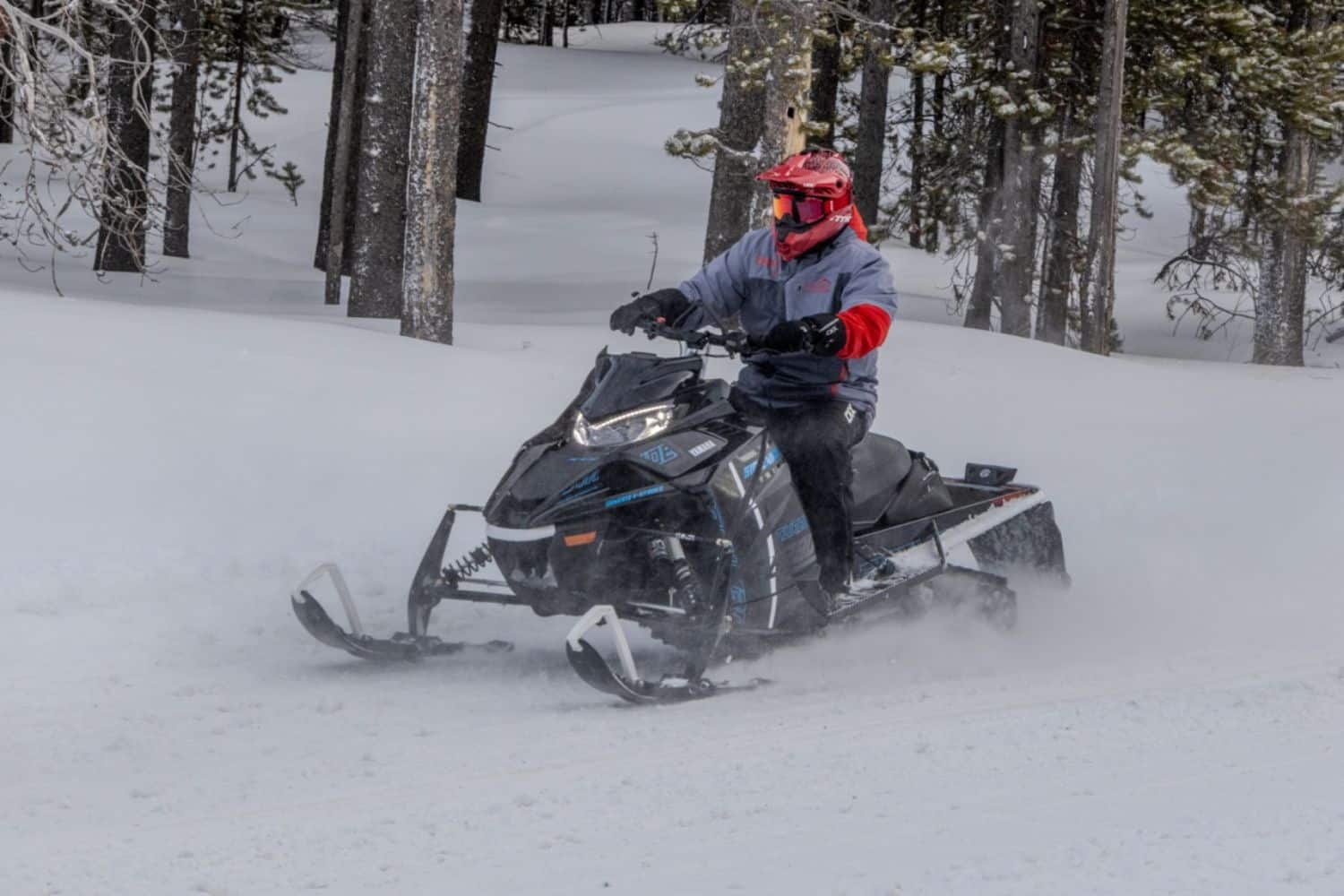 Overview of trail-hybrid snowmobiles 2025