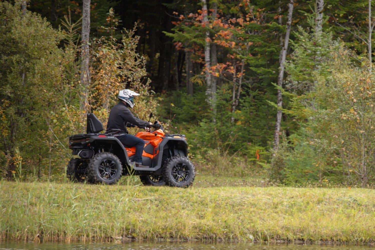 用DR50用 ため CRF50 用ため XR 50 ダートバイクゴーカート PZ19 ハンドチョークキャブレター  オートバイのキャブキャブレターガスケット キャブレターアセンブリ NC50 1997-1981 50 に適合 キャブレターキット 純正部品]  キャブレターオーバーホール用ガスケットセット ... エアフィルターボックスアセンブリ 50cc 4 ストローク ATV ダートバイク、ゴーカート 35MM に適合