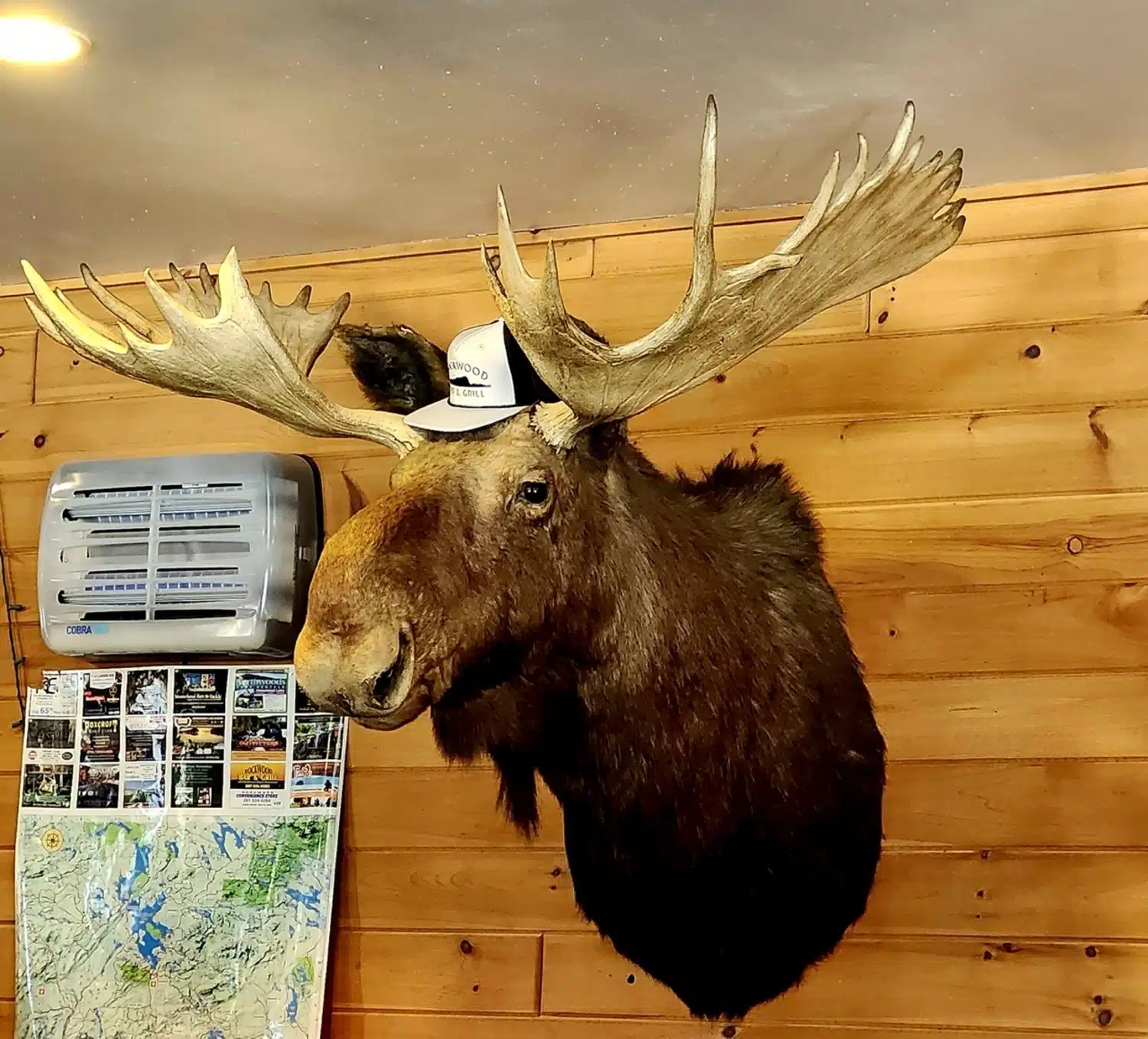 Photo 8 - Harry The Moose - Rockwood Bar & Grill