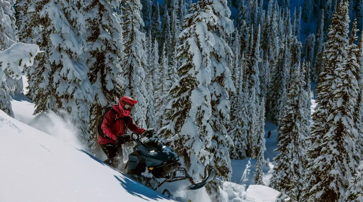 snowmobile avalanche safety