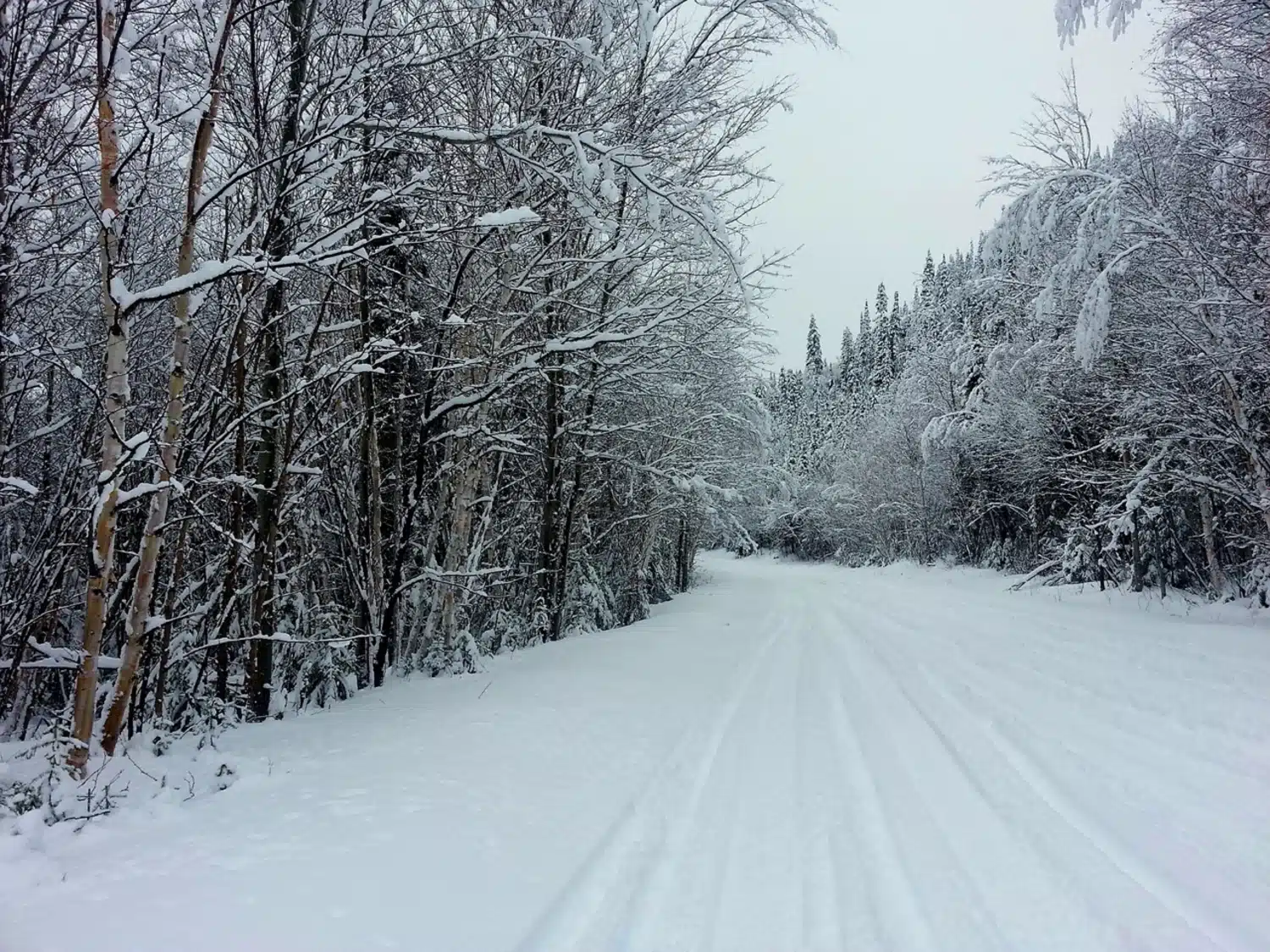 Trail in Charlevoix 