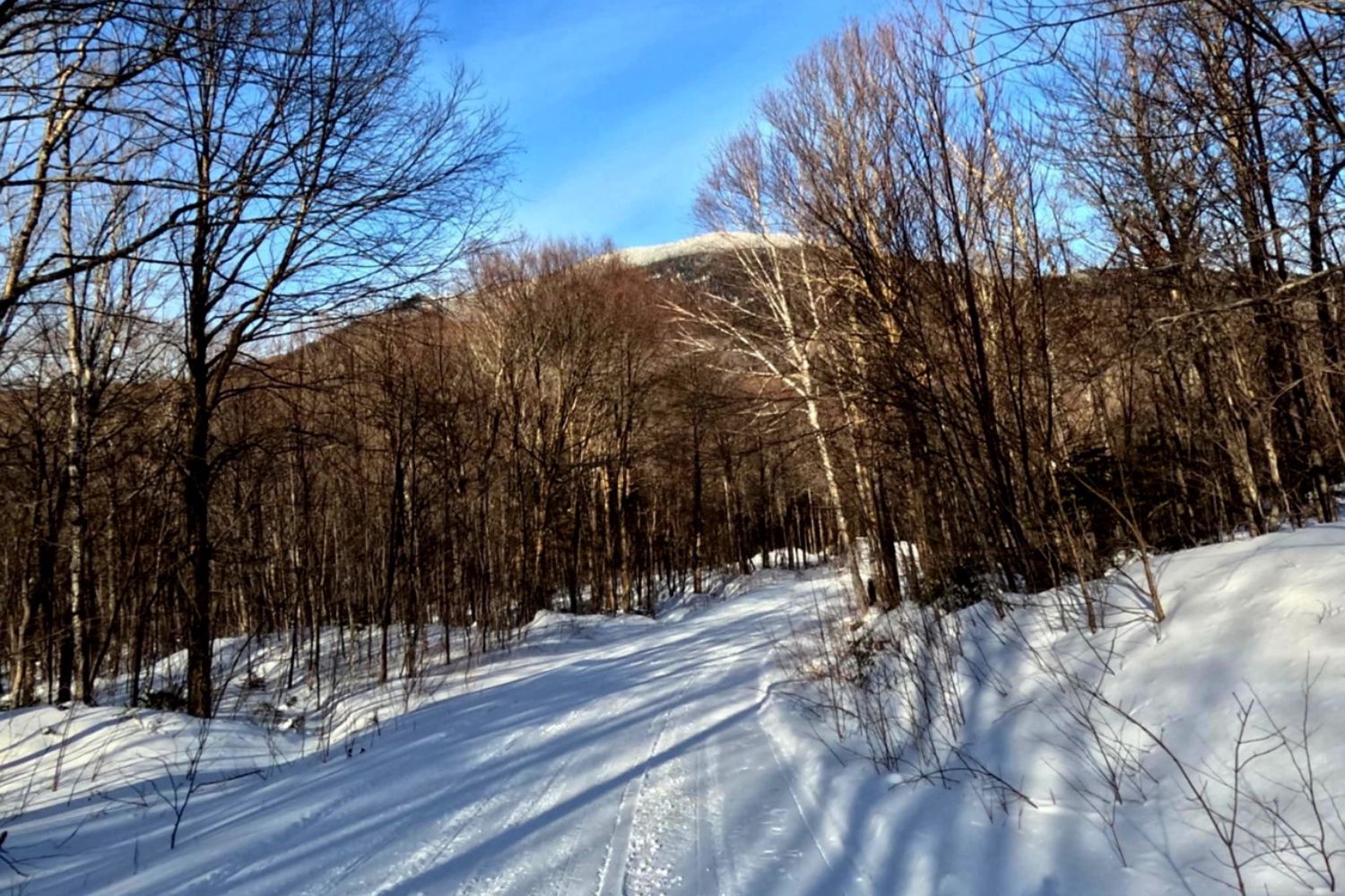 Jackman Maine Trail