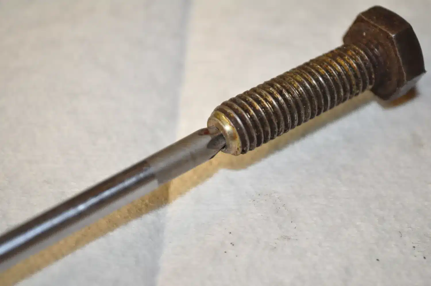 Backwoods engineering creativity