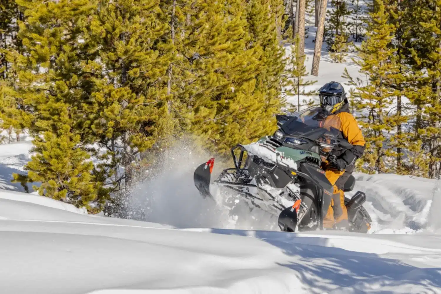 Hay Days Ski-Doo