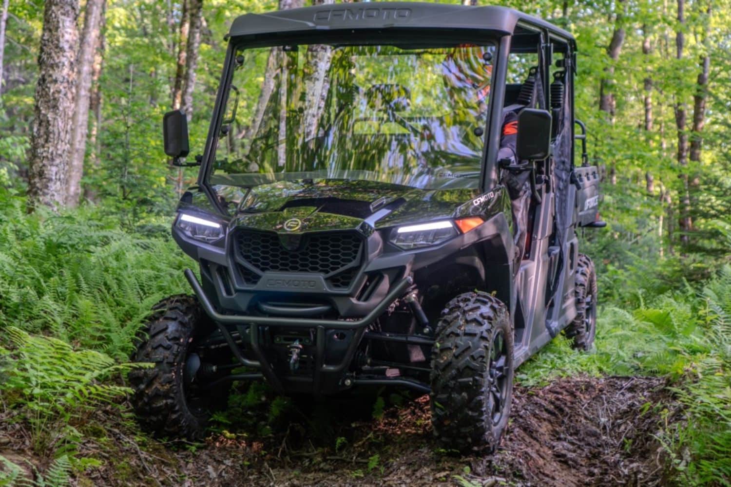 Perfect for adventures in the forest!