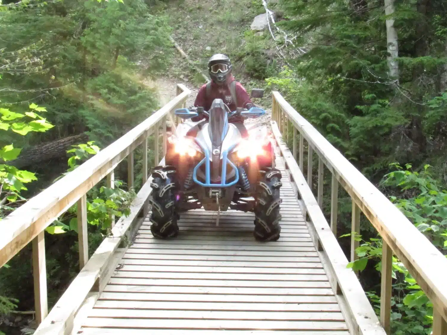 Photo 1 – grande taille