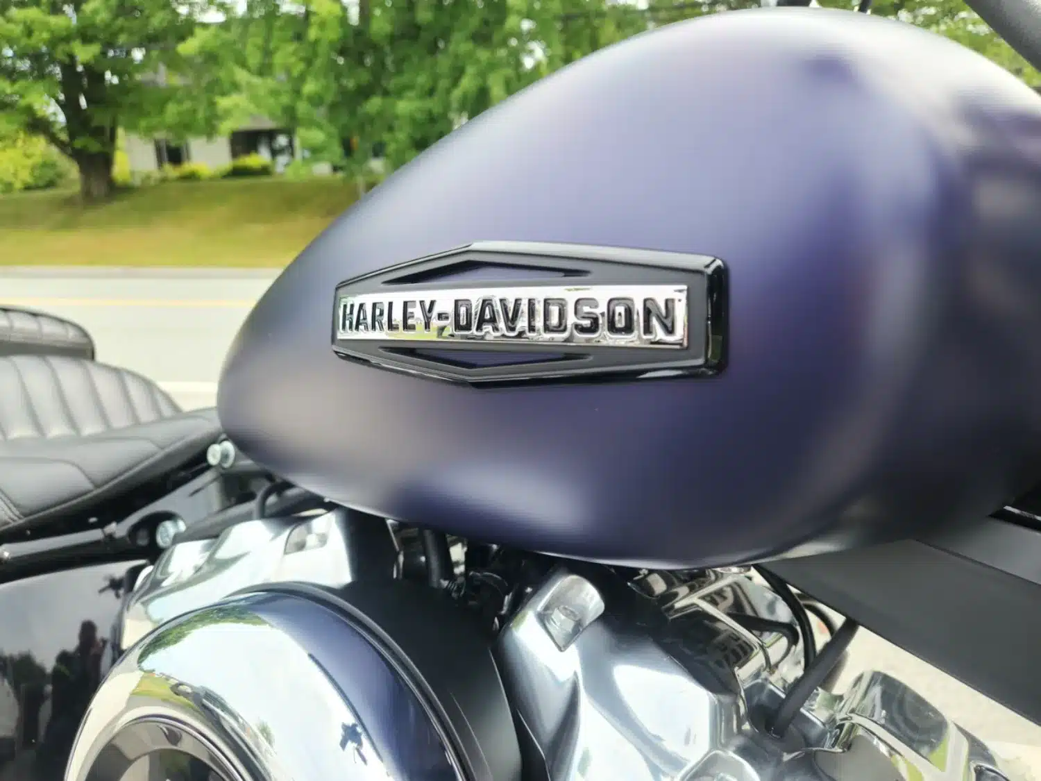 Photo 3 – grande taille