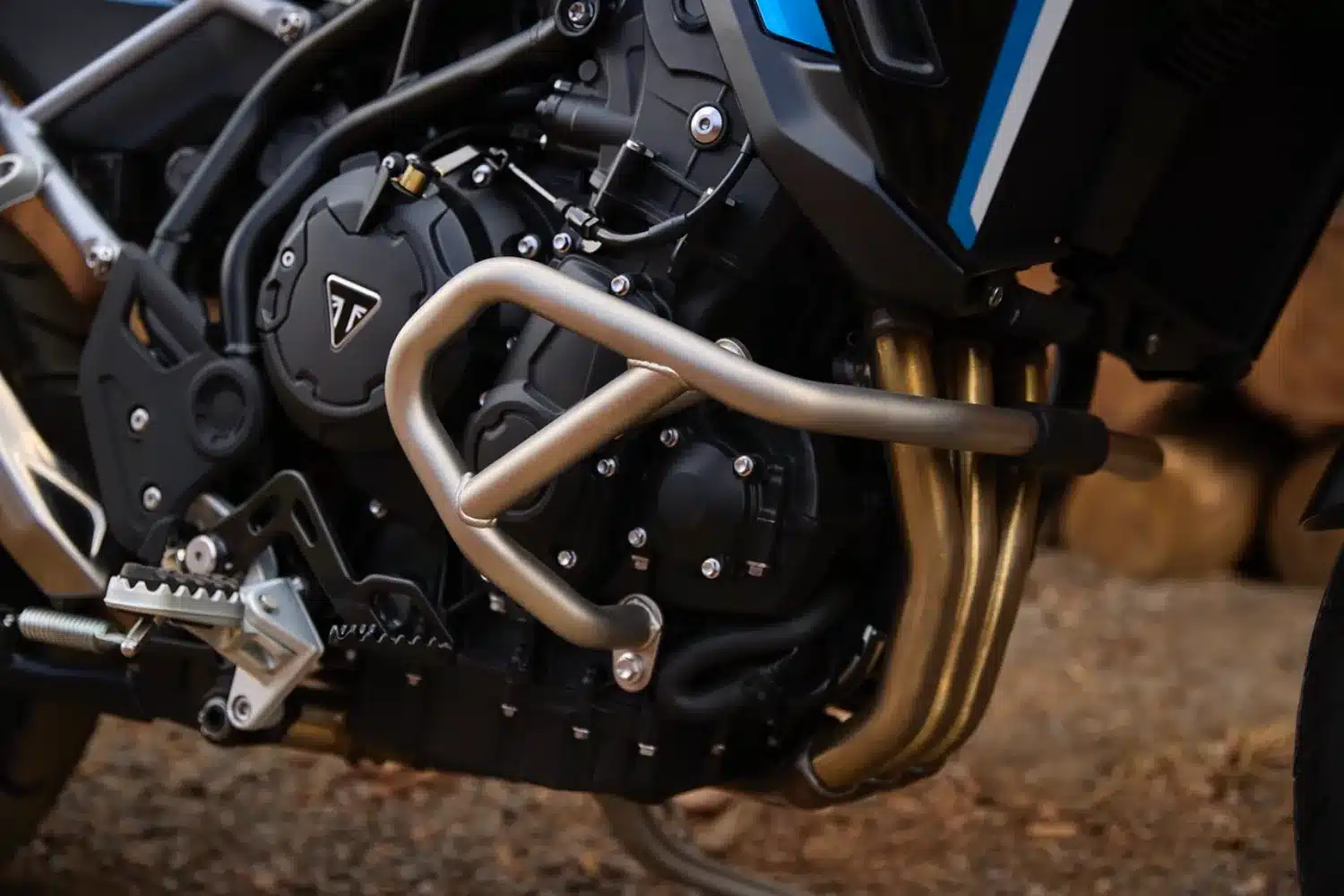 Photo 4 – grande taille