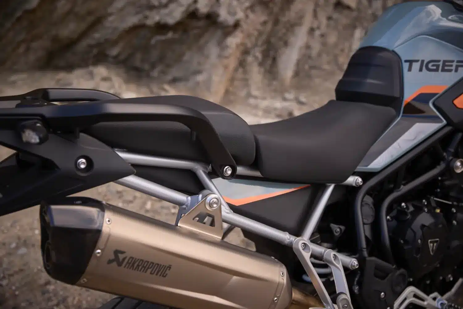 Photo 5 – grande taille