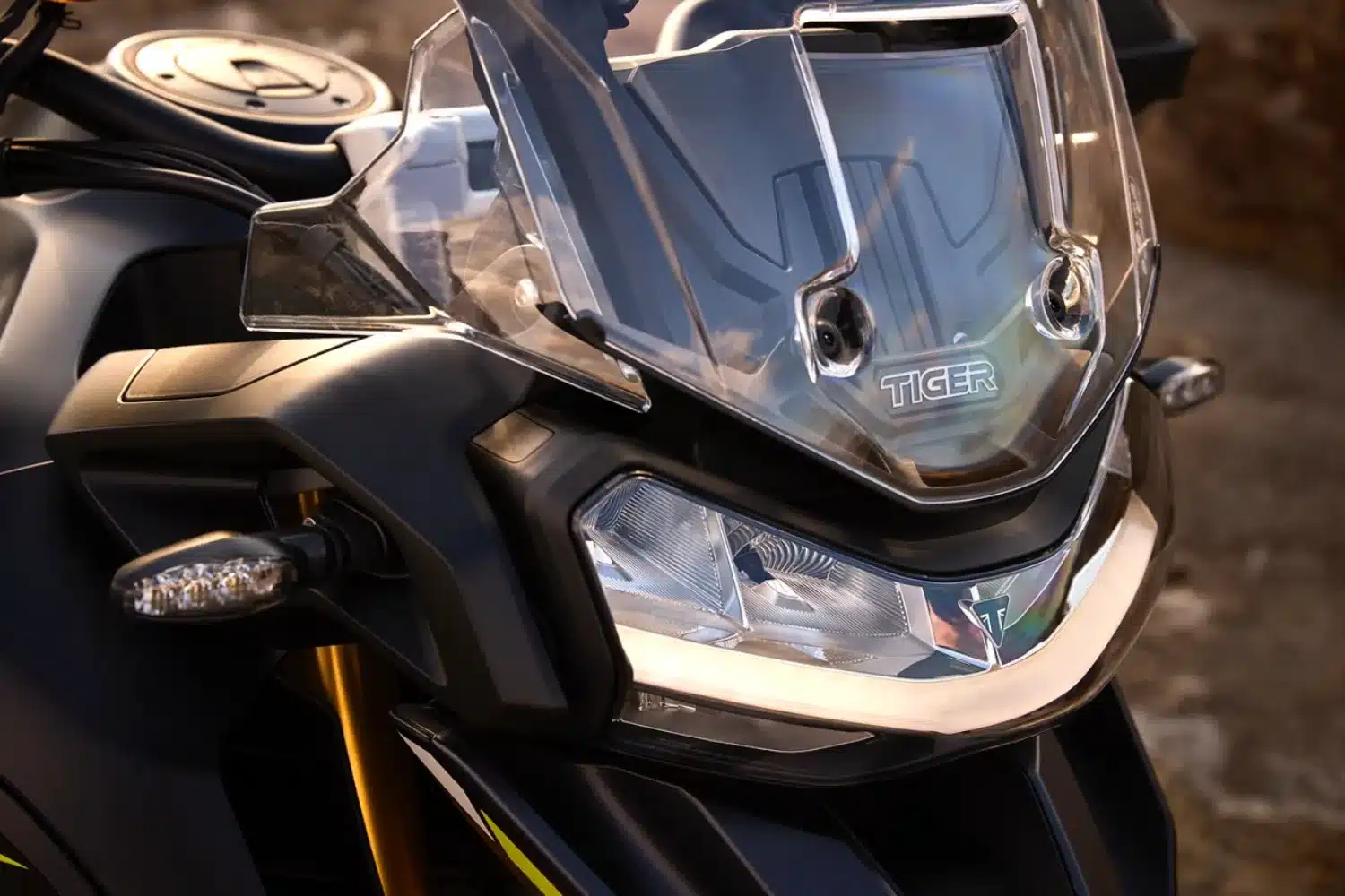 Photo 8 – grande taille