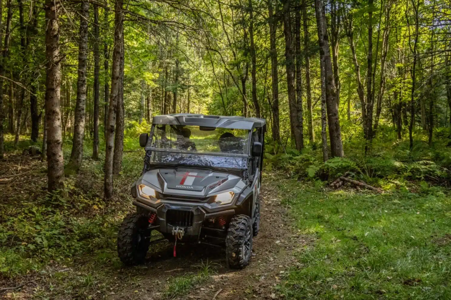 BF7A9420 – grande taille