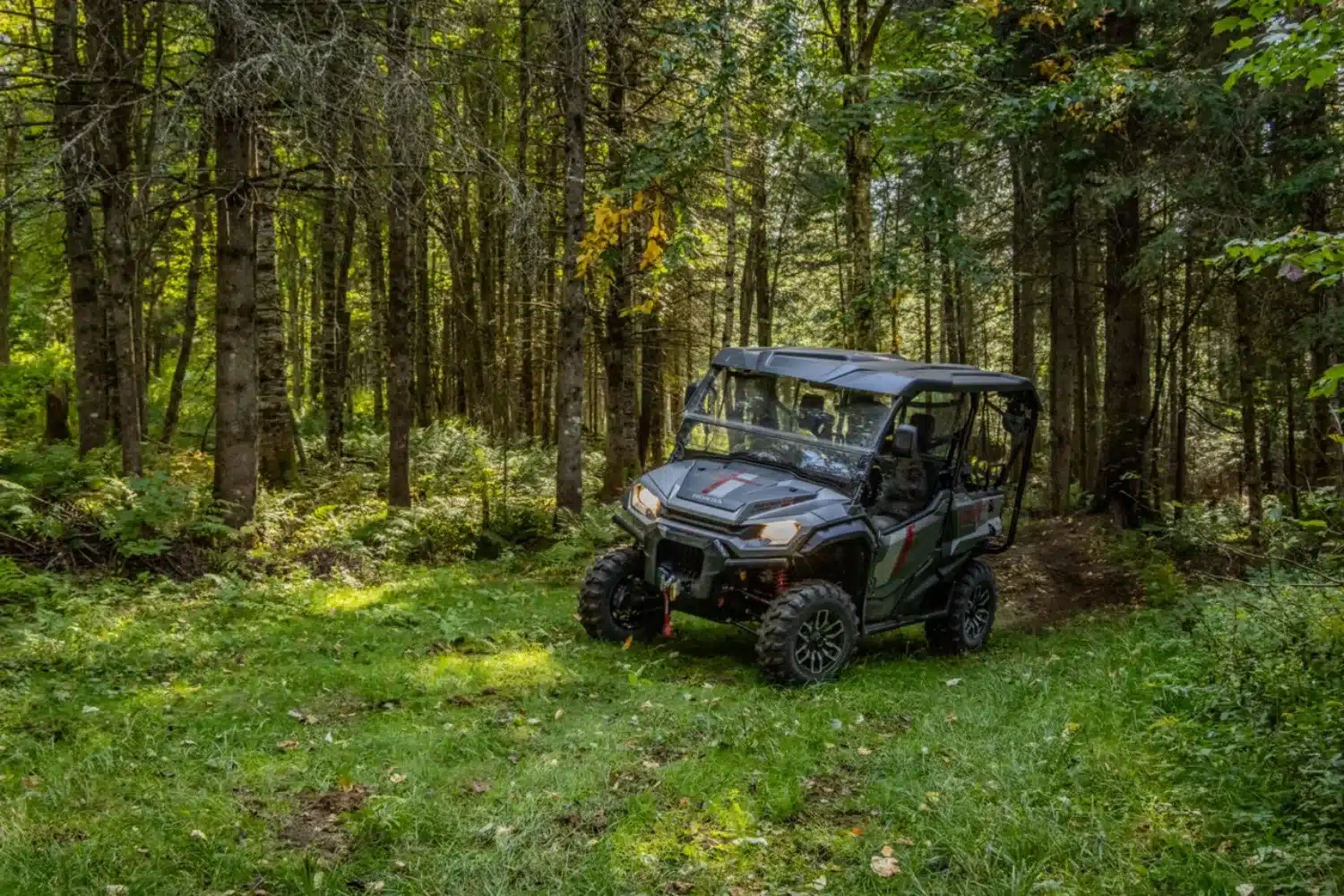 BF7A9465 – grande taille