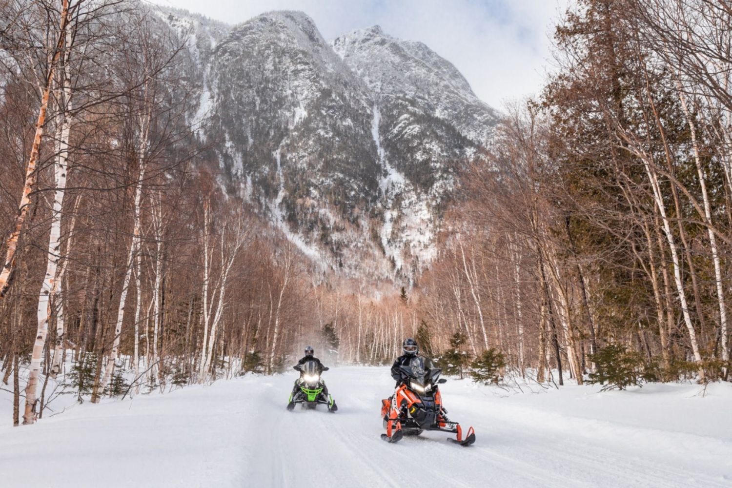 The Chic-Chocs / Roger Saint-Laurent