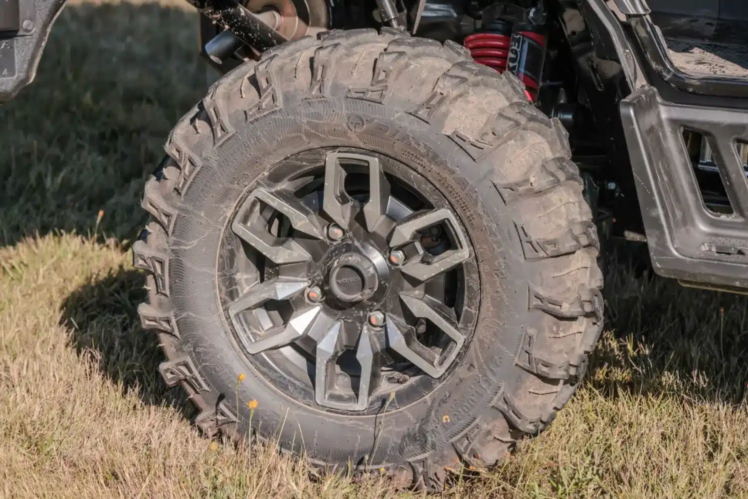 DBMI1439 – grande taille