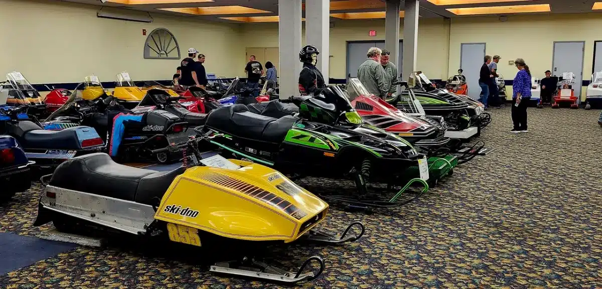 PHOTO 5 - Section Vintage – grande taille