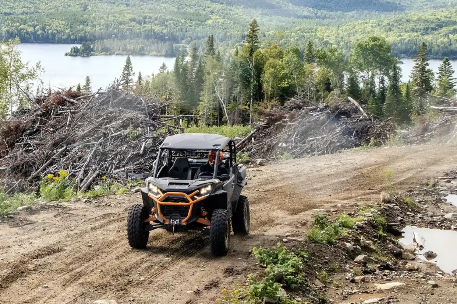 Photo 11 – grande taille