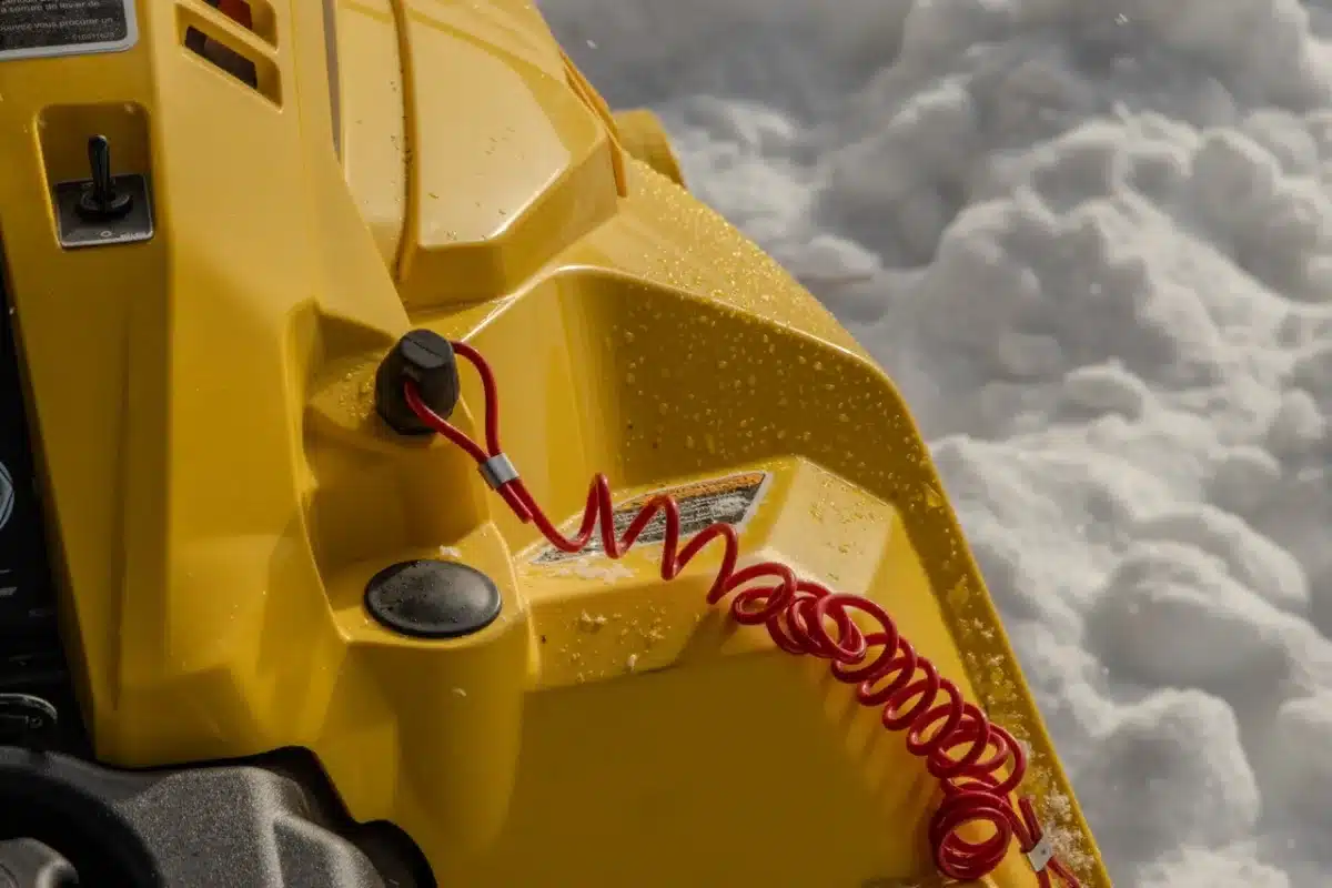 Photo 11 – grande taille