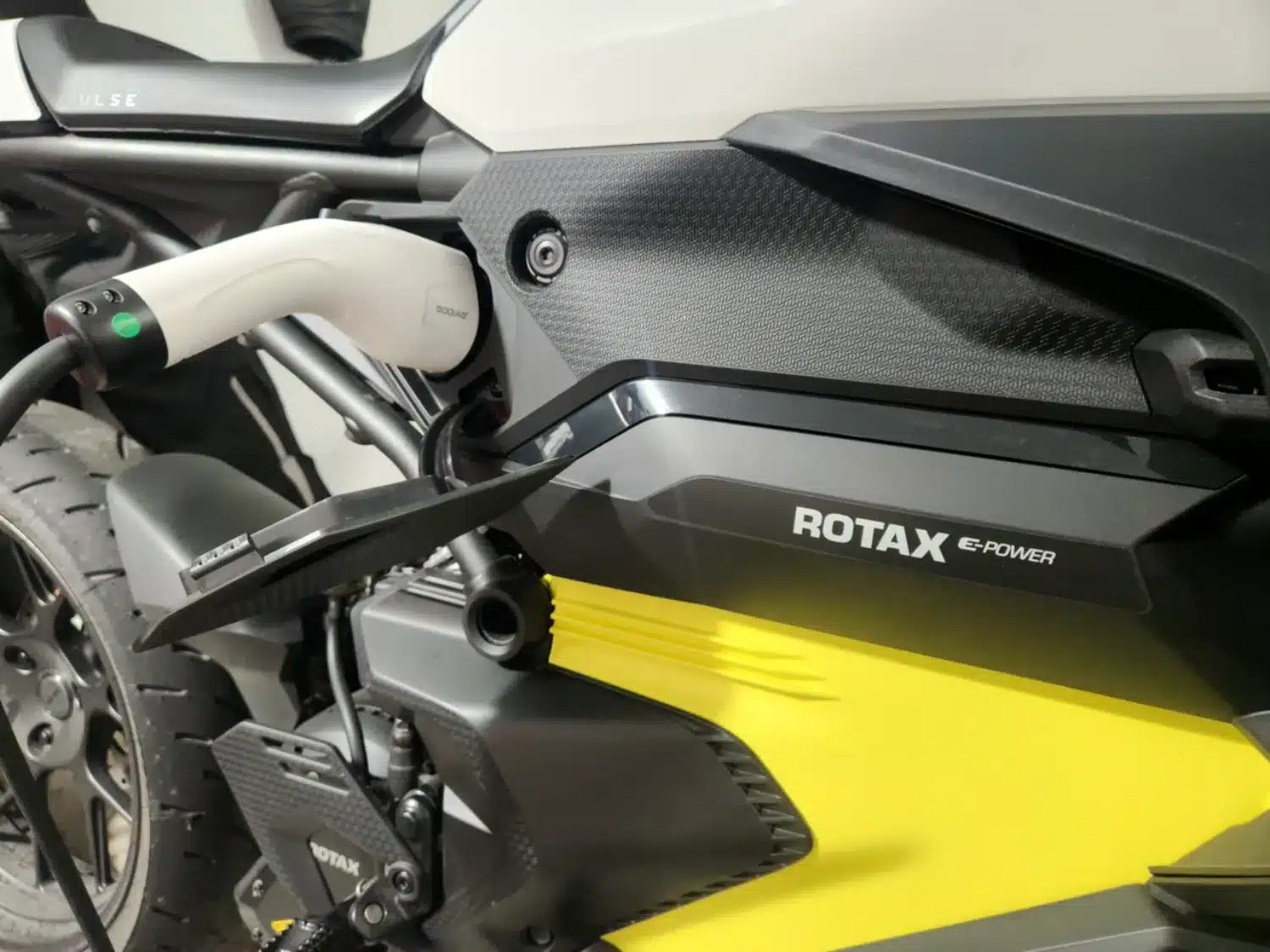 Photo 11 – grande taille