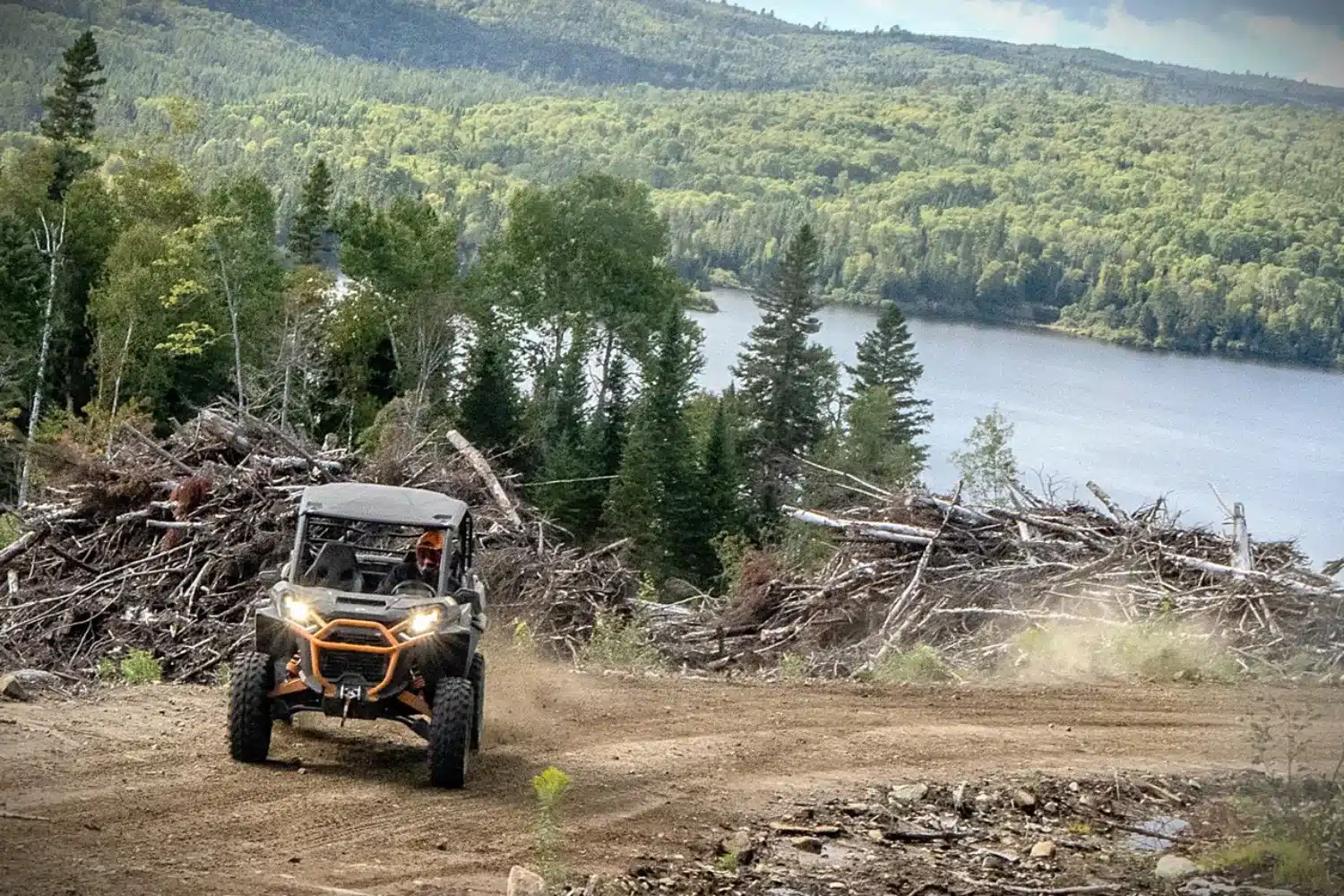 Photo 12 – grande taille