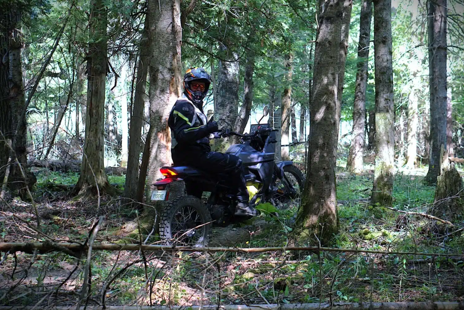 Photo 12 – grande taille