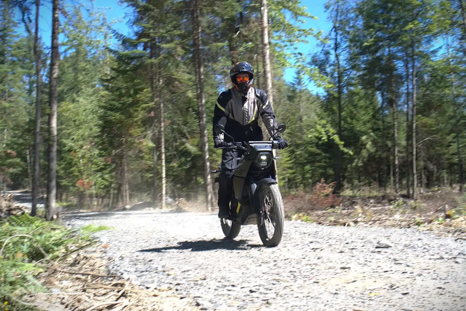 Photo 13 – grande taille