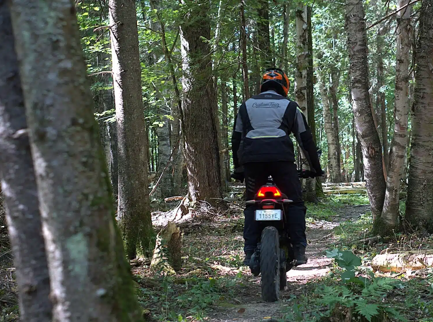 Photo 14 – grande taille