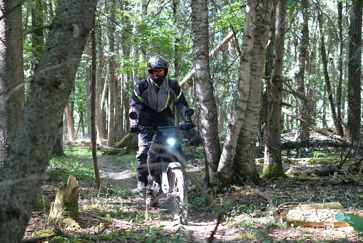 Photo 18 – grande taille