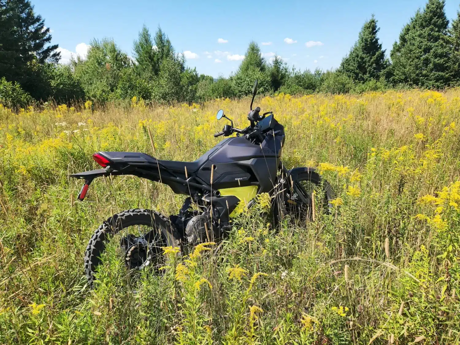 Photo 20 – grande taille