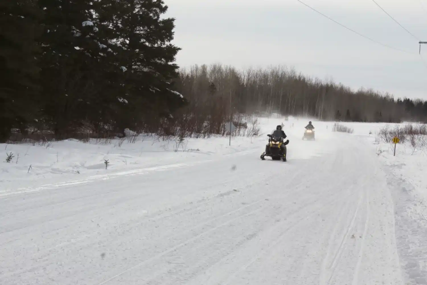 Photo 3 – grande taille