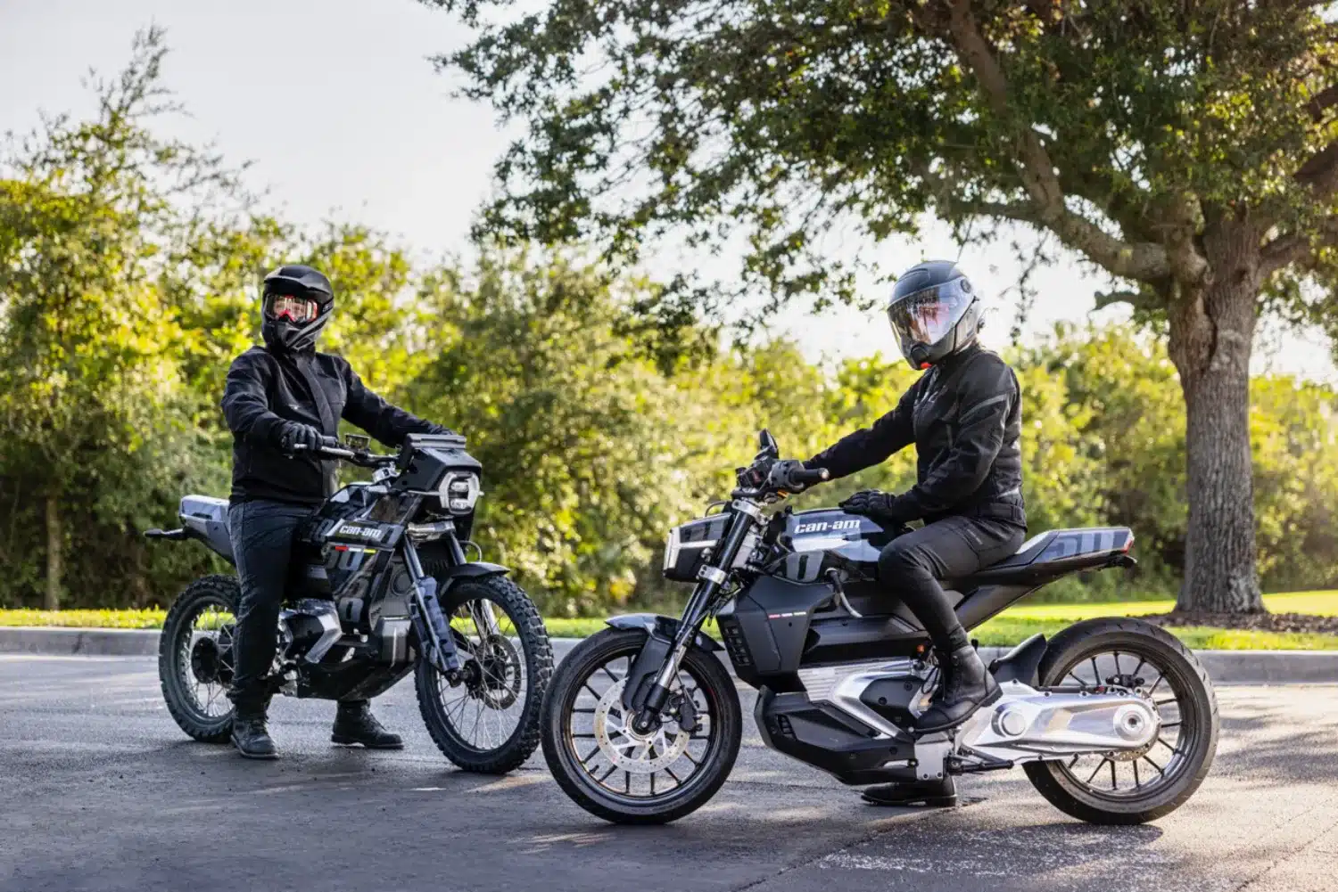 Photo 3.5 – grande taille