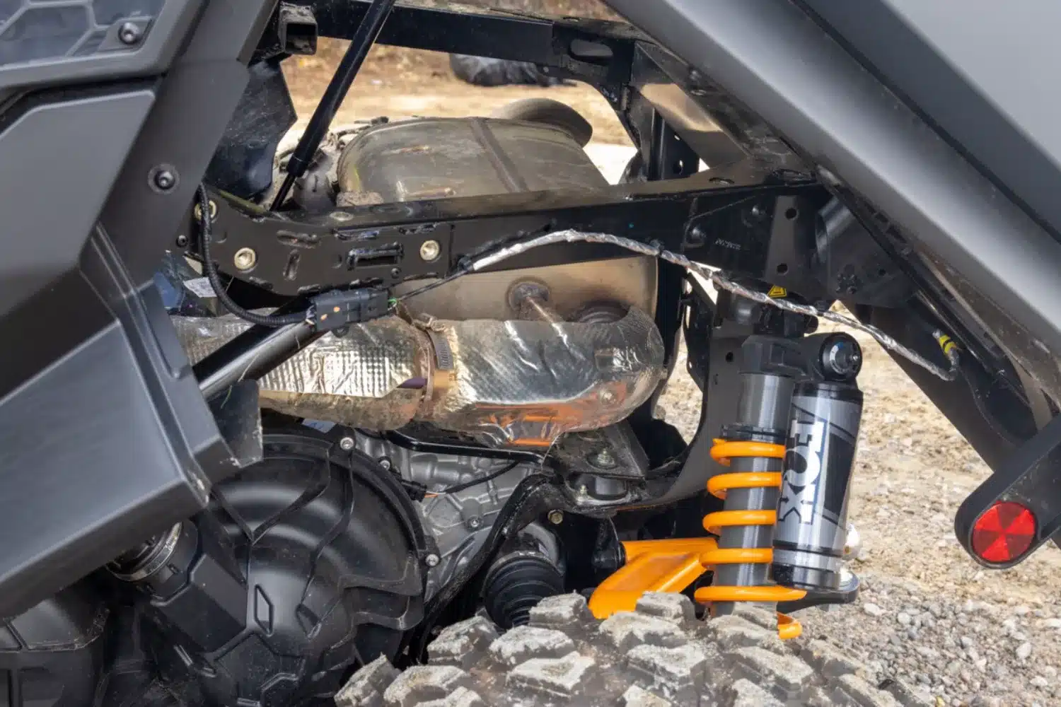 Photo 4 – grande taille