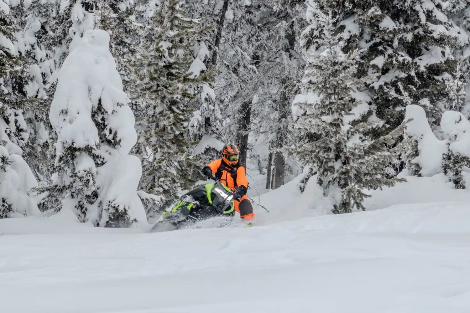 Photo 4 – grande taille