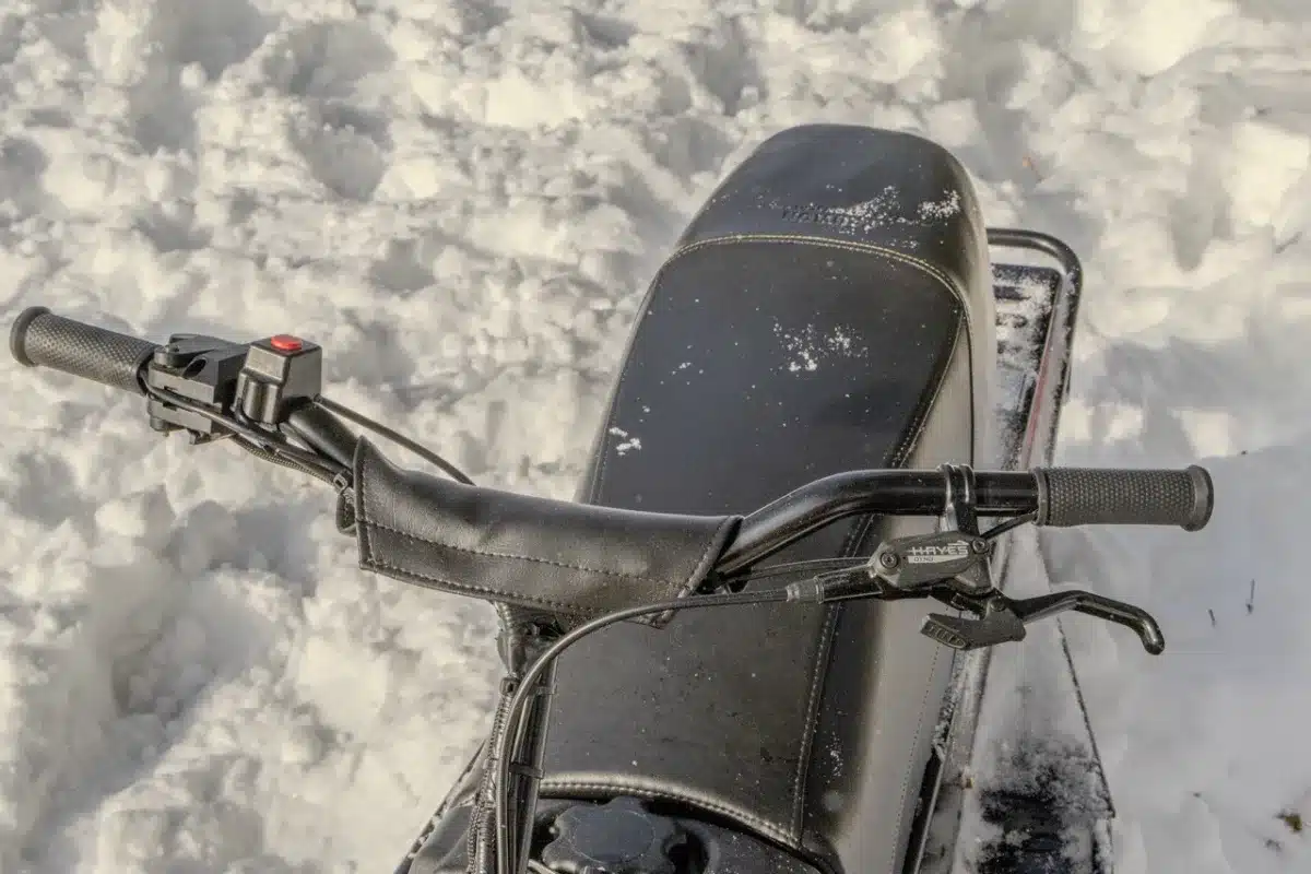 Photo 6 – grande taille