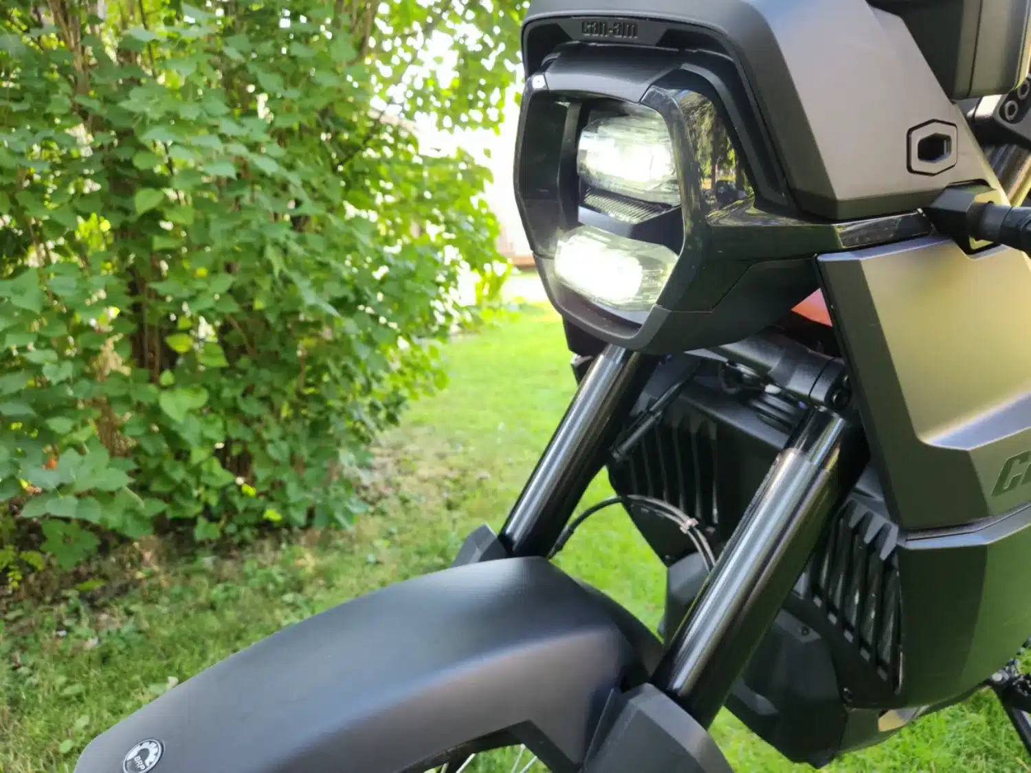 Photo 6 – grande taille