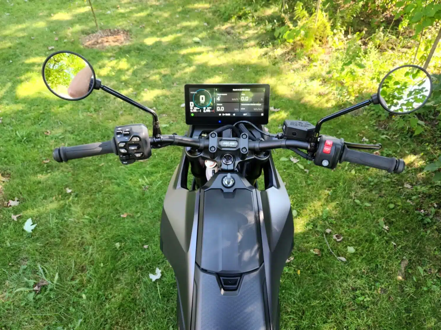 Photo 6.5 – grande taille