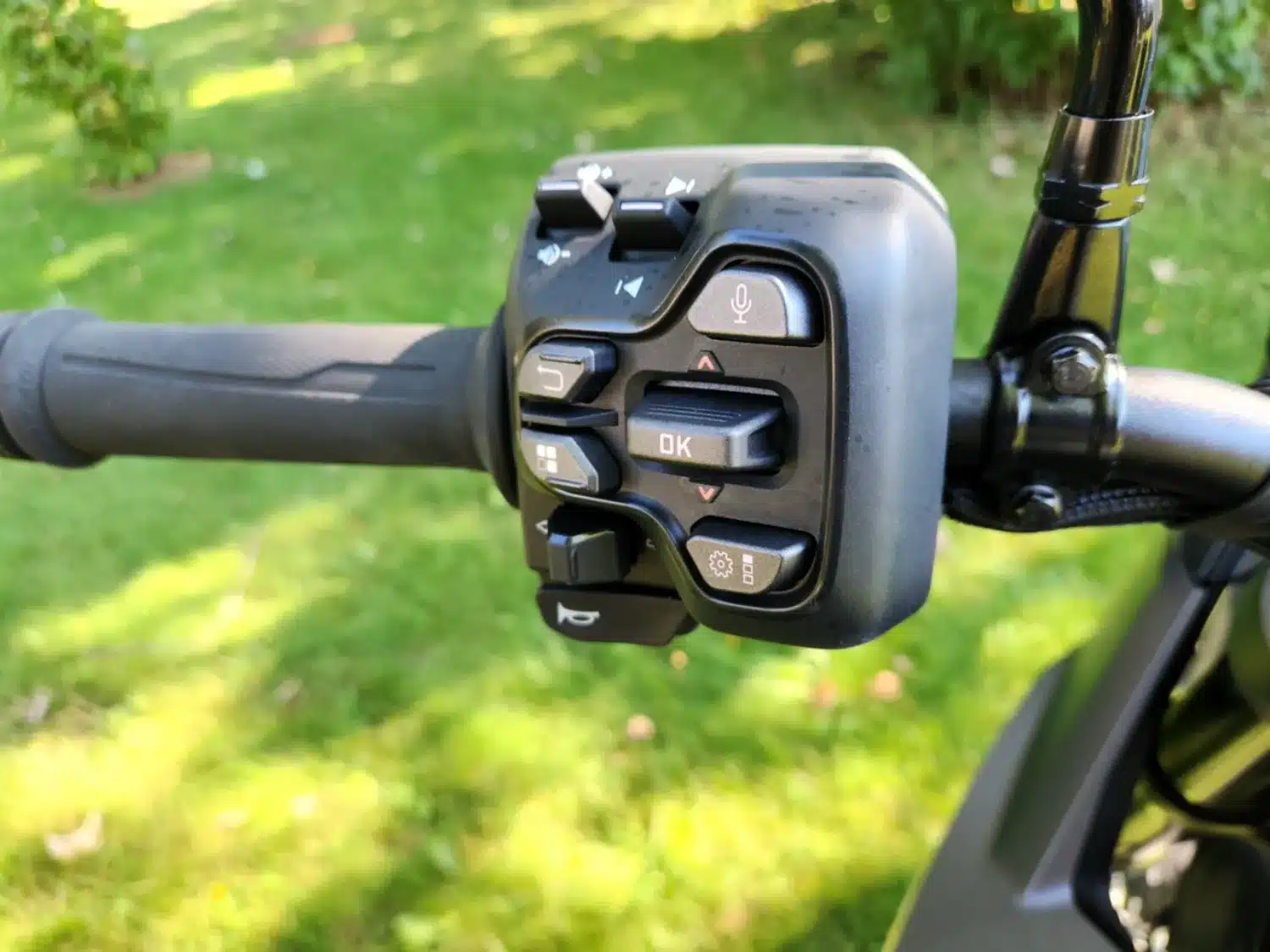 Photo 6.6 – grande taille