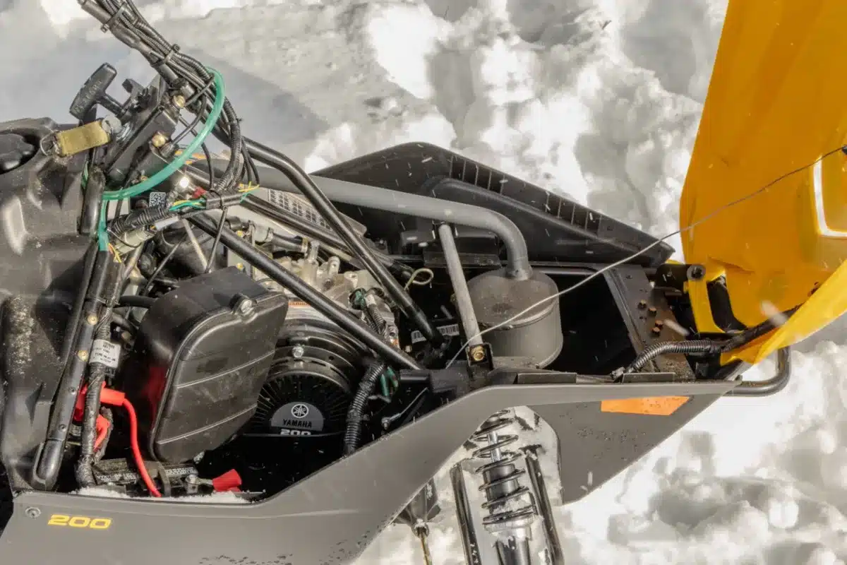 Photo 7 – grande taille