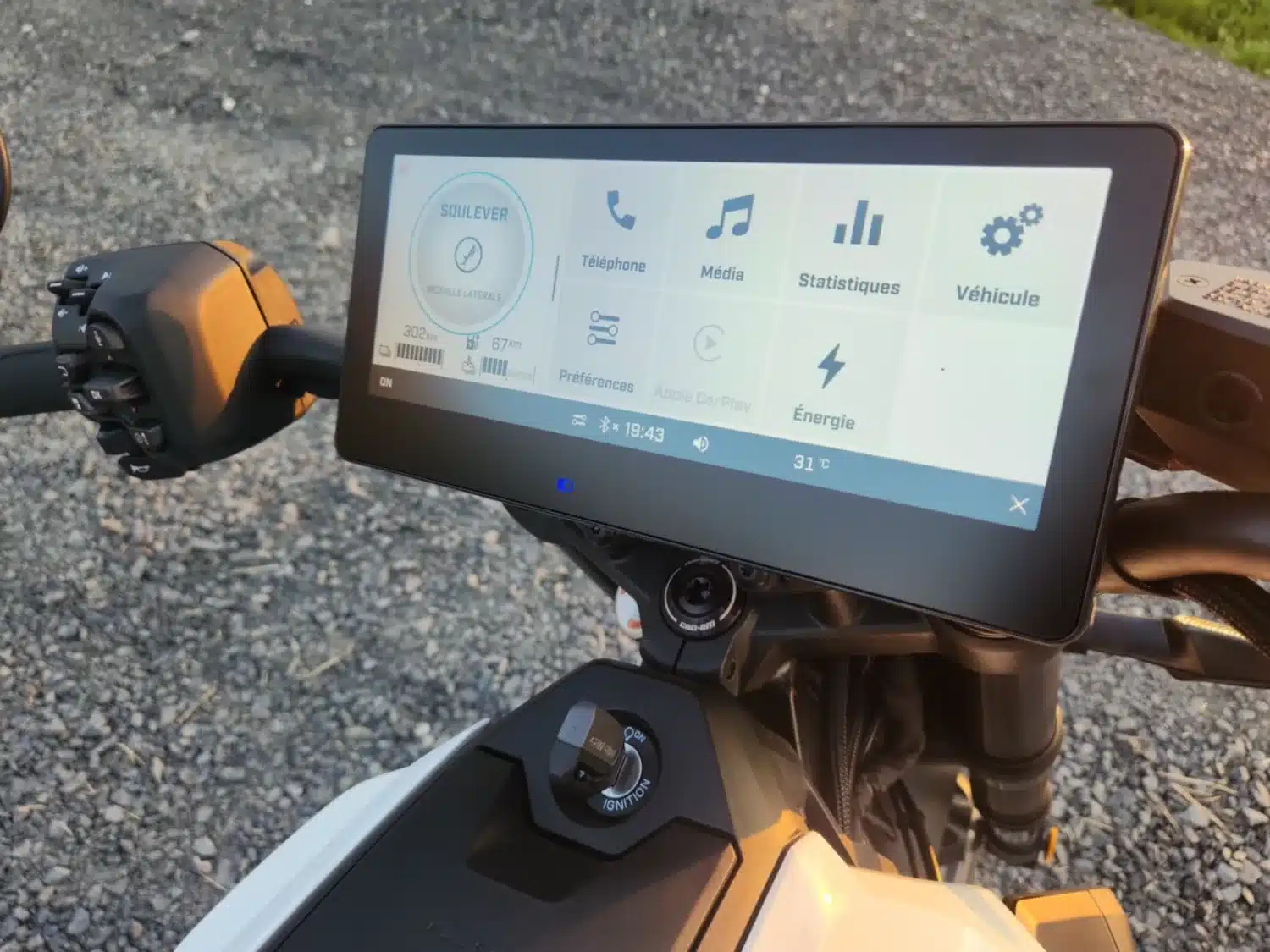 Photo 7 – grande taille