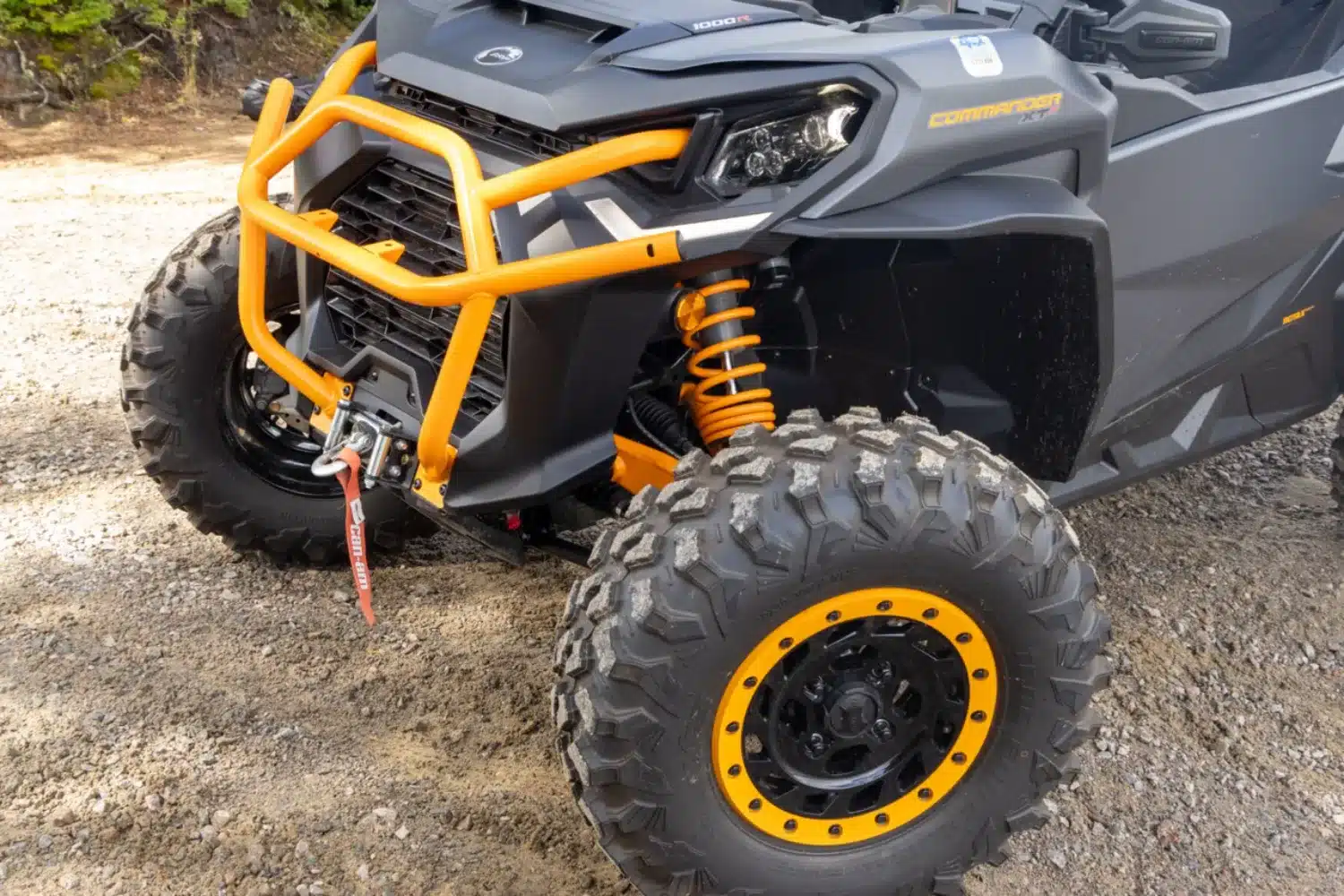 Photo 8.5 – grande taille