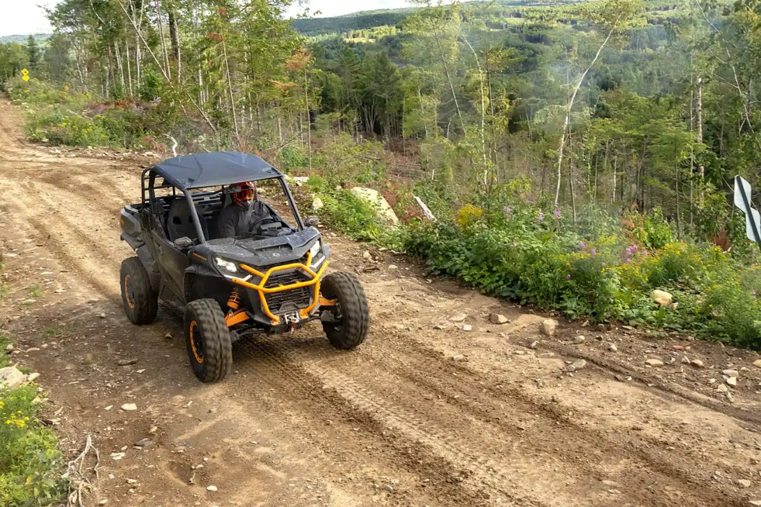 Photo 9 – grande taille