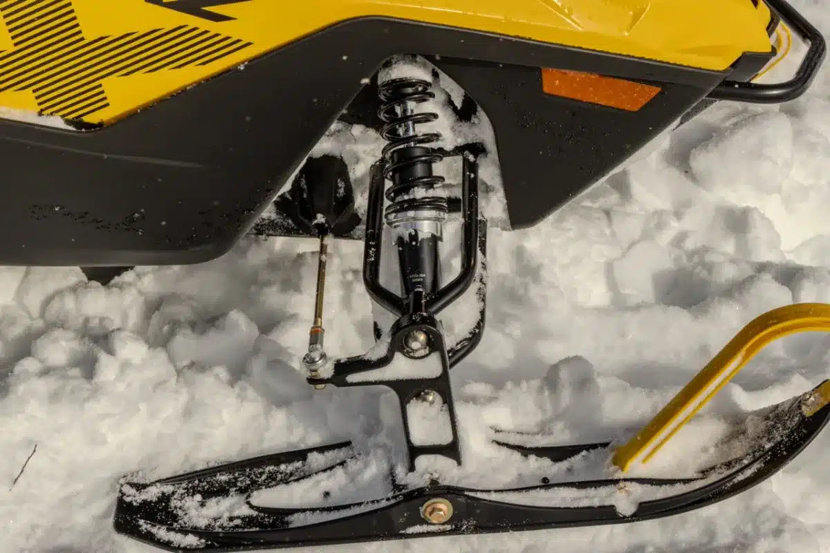 Photo 9 – grande taille